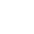 Property Crimes